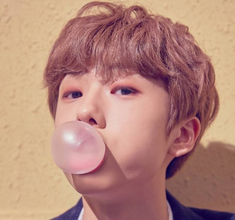 이 머리색 무슨 색인지 아는 익인 ㅠㅠ | 인스티즈