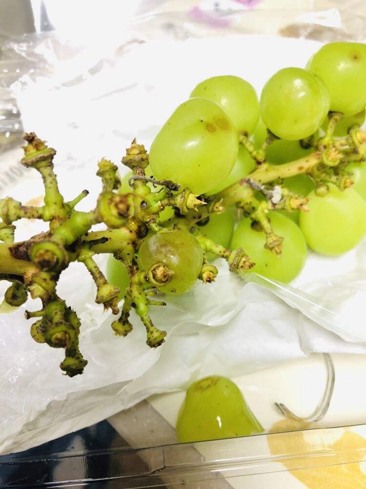 이거 먹어도 되는거야??? 40 | 인스티즈