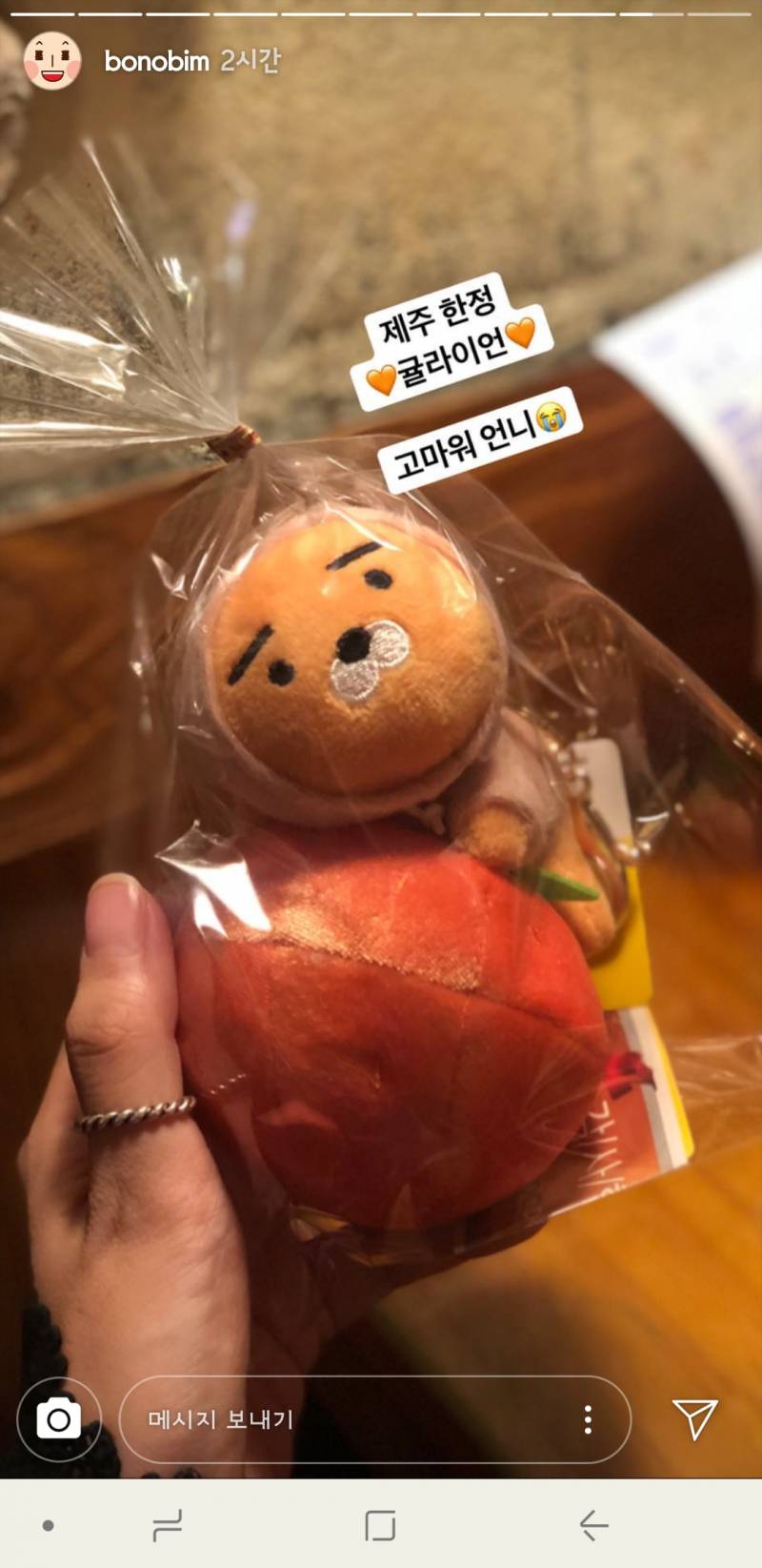 제주도한정라이언있어?? | 인스티즈