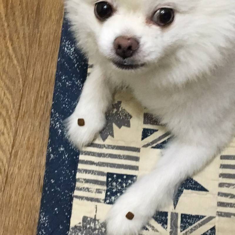 맘마 기다려 하는 울몽몽이 보구가ㅜㅜ | 인스티즈