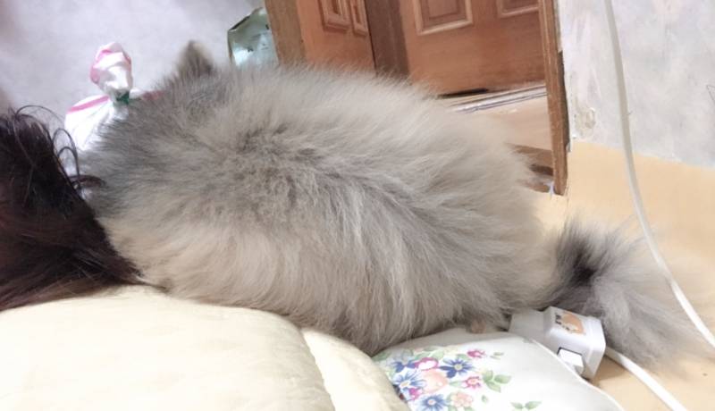 자고 일어났더니... | 인스티즈