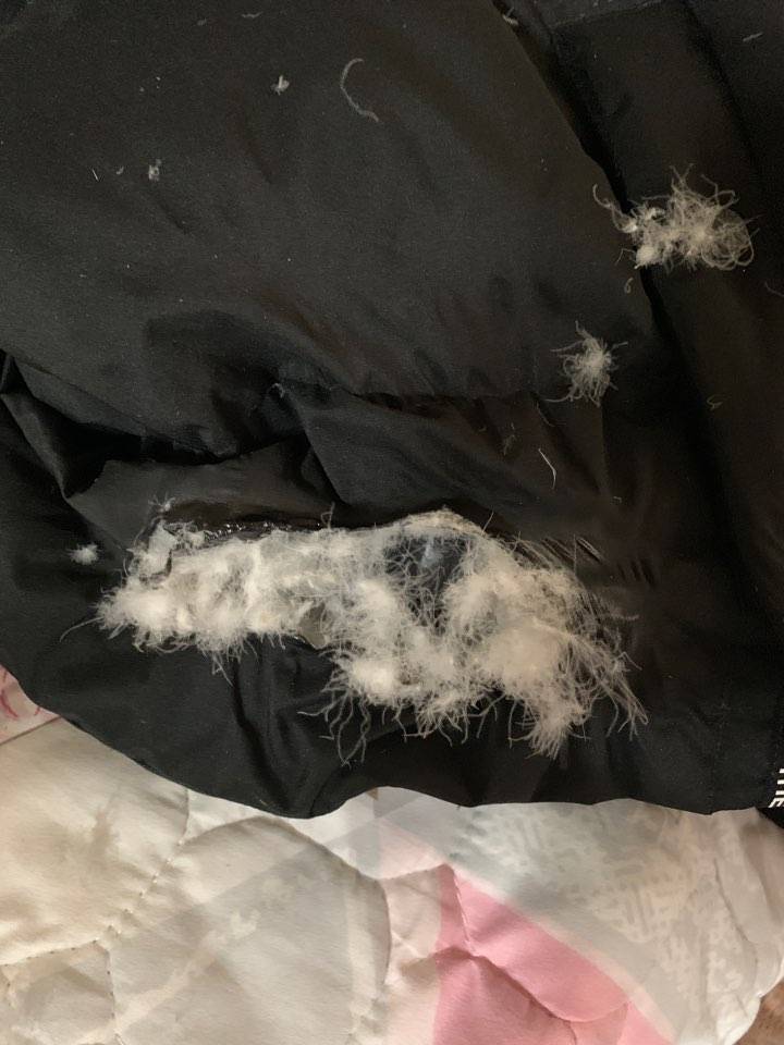 익인들아 나 패딩 태움 | 인스티즈