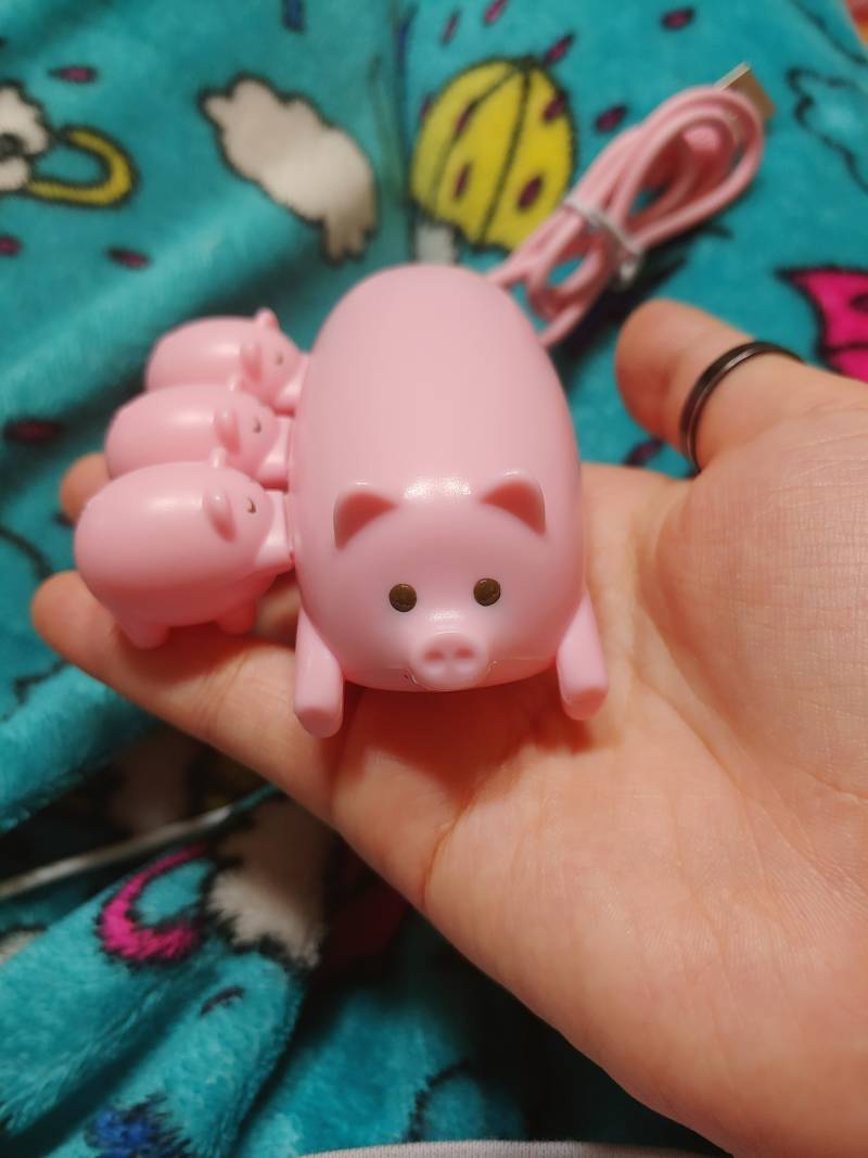 오늘 다이소에서 사온 돼지 아이템 | 인스티즈