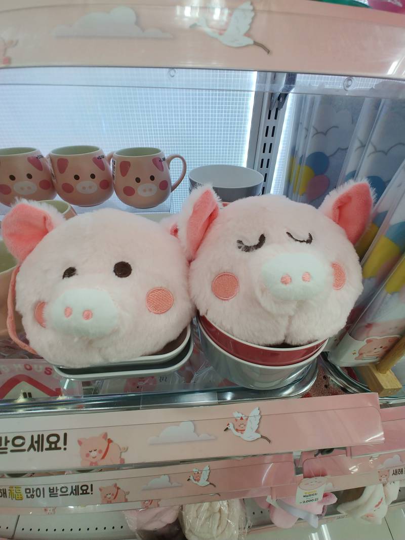 🐷둘 중에 어떤 거 살까ㅜㅜㅜㅠ??🐷 | 인스티즈