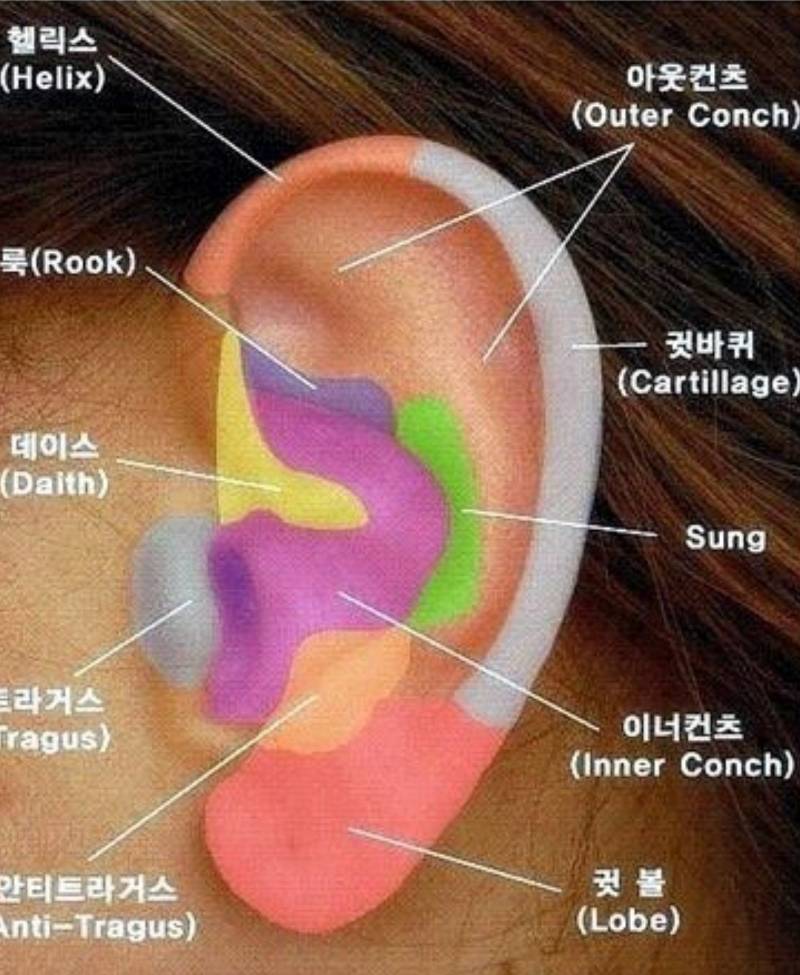피어싱 위치조합 어떻게 하는게 예뻐??! | 인스티즈