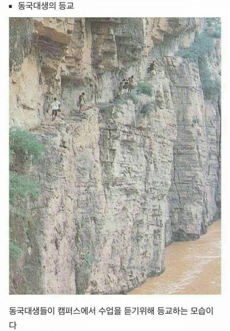 솔직히 동국대 정도면 가기 힘든 학교 아니야? | 인스티즈