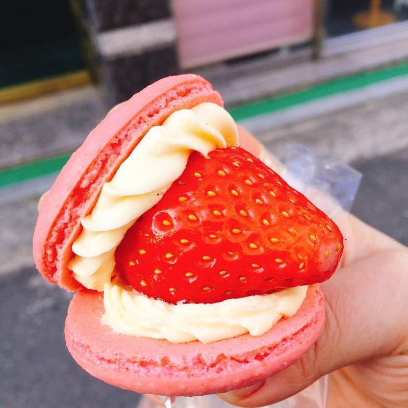 21000원치 크리스마스 마카롱4040 🙈❤ | 인스티즈