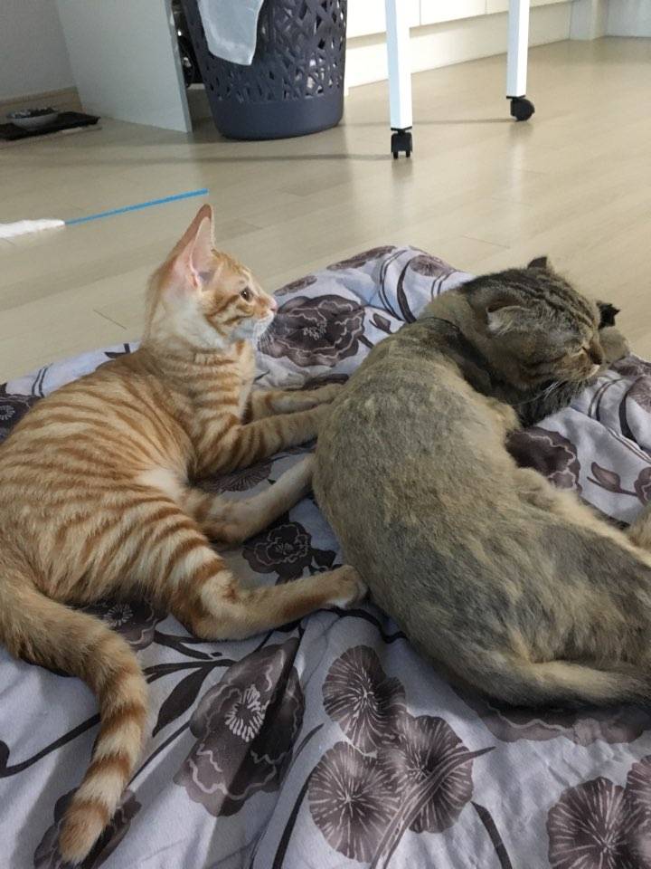 애기들 모해 | 인스티즈