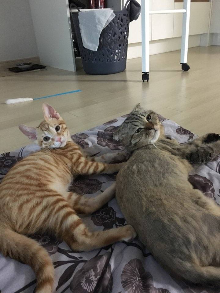 애기들 모해 | 인스티즈