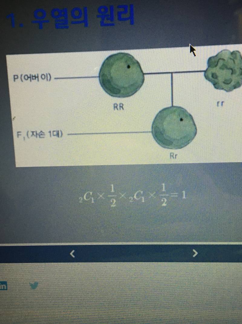 이거 어떻게 해서 이렇게 되는지 아는 익?? | 인스티즈