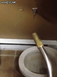 인티 횐님들을 위한 변기 100%뚫는법을 소개합니다~! | 인스티즈