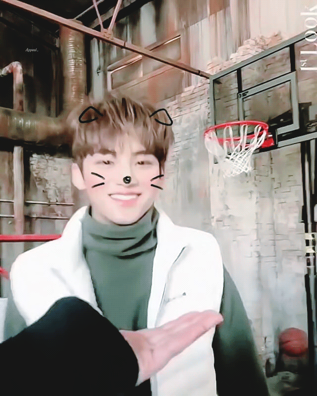 새벽이니... 애교 의인화 일상이 끼부리기인 남돌 올리고 사라집니다 | 인스티즈