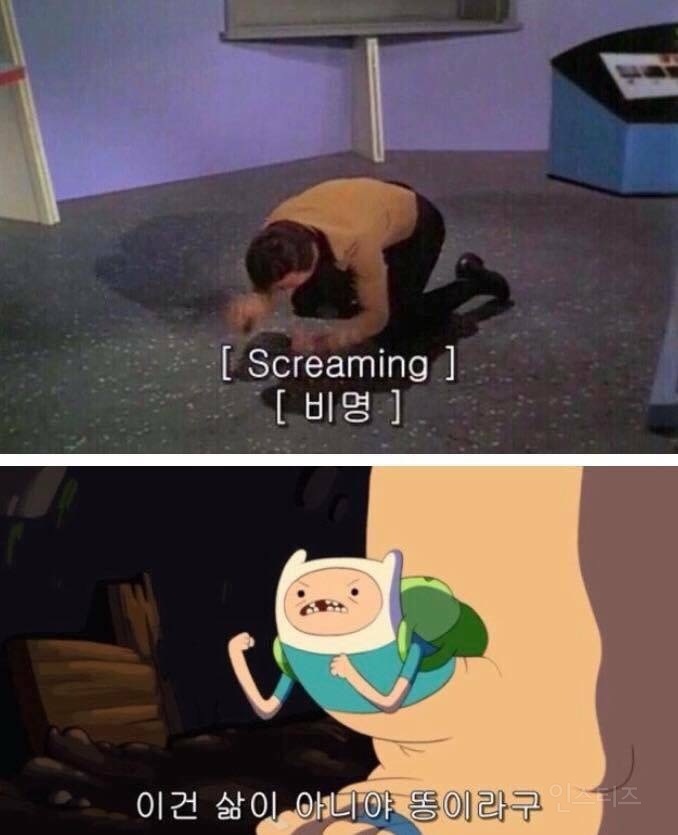 똥 먹었다고 오해받기 vs 진짜 먹기 | 인스티즈