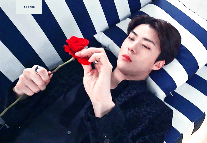 가요대전 세훈 이 장면에서 ㅠㅠㅠㅠ 눈물 쏟아따 | 인스티즈