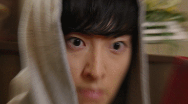 딱따구리가 위험한이유.gif | 인스티즈