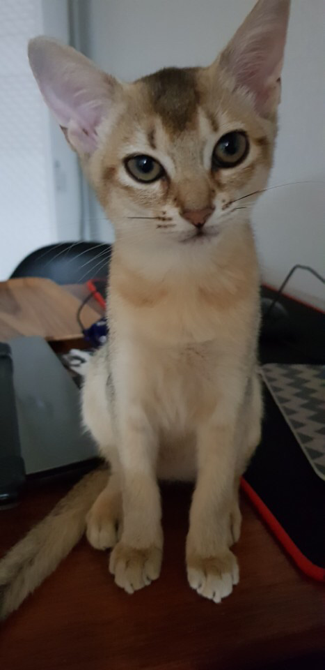 #강오리_생일축하해 #Happy_Ori_Day | 인스티즈