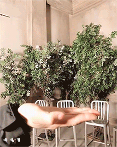 [잡담] 데이식스 느릿>콕>굴러가유>정석>퍽 | 인스티즈