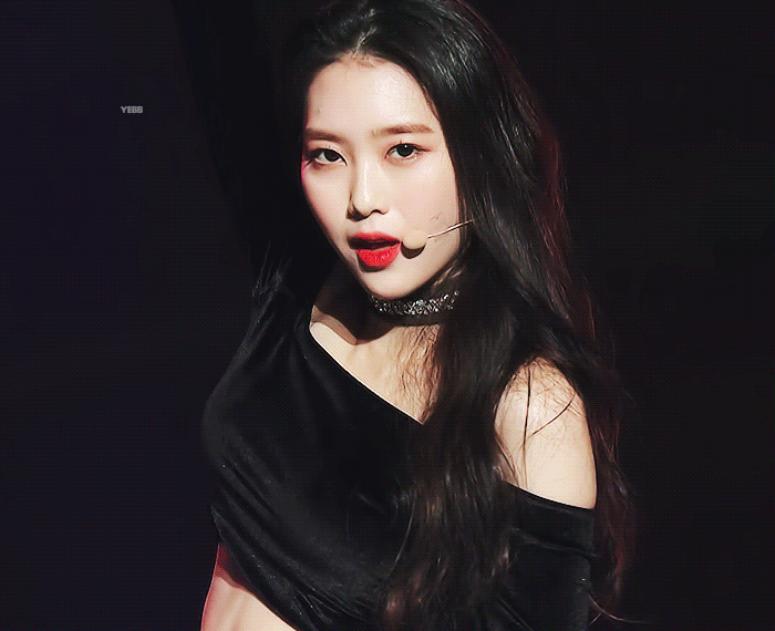 나도 내 최애들 자랑해야지 | 인스티즈