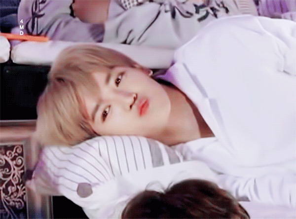 힐링하겠다고 어항 산 이 남자.. | 인스티즈