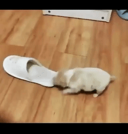 다들 이거 보고 아침 기분 좋게 시작하장 | 인스티즈