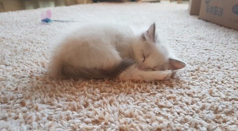 강다니엘 넷째 성장한거 보소 | 인스티즈