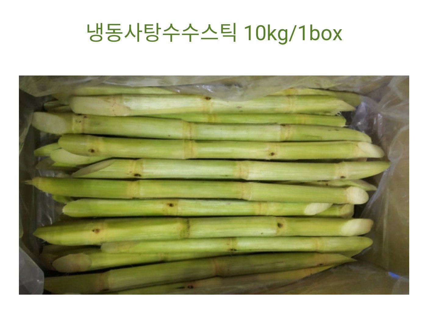 #방탄 #전정국 #정구기 #사탕수수 #판다 | 인스티즈