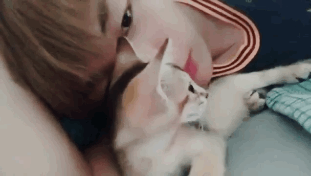 몇만국민이 프듀 강다니엘 이거보고 입덕 했다며... | 인스티즈