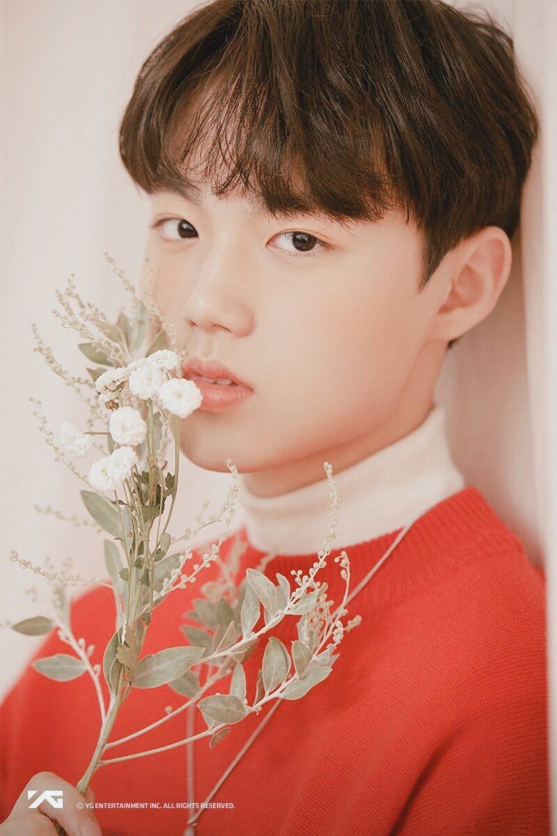 김도영 너무 귀엽게 생교써 데뷔해 내시키 | 인스티즈