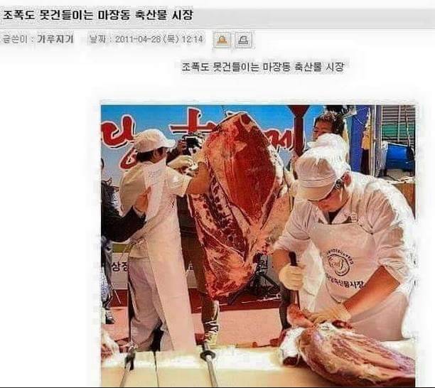 조폭도 못건들이는 마장동 축산물 시장 - 인스티즈(instiz) 오싹공포 카테고리