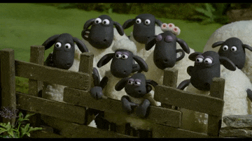 사카구치 켄타로 .. 얼굴로 사람을 치유하는기분 🤗 | 인스티즈