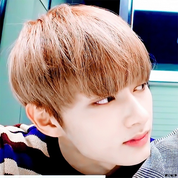 [세븐틴] Touch Down 10~11 | 인스티즈