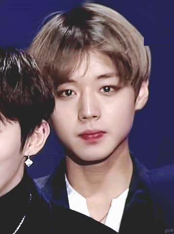 이거 봤어 먕들?? | 인스티즈