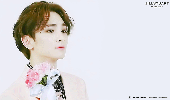 ë³¼ 때마다 ë„화지같다 ìƒê°ì´ 드는 ì•„ì´ëŒ 멤버들.gif | ì¸ìŠ¤í‹°ì¦ˆ