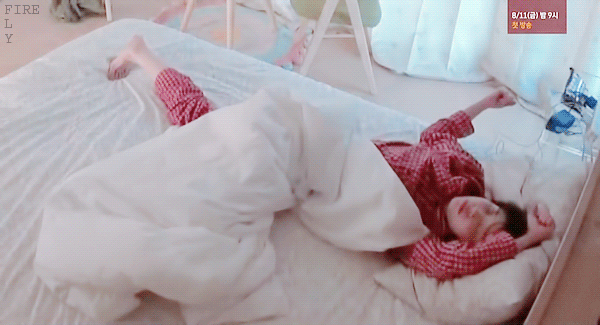 아이유 효리네민박 짤들만 보면 마음이 평온해져 | 인스티즈