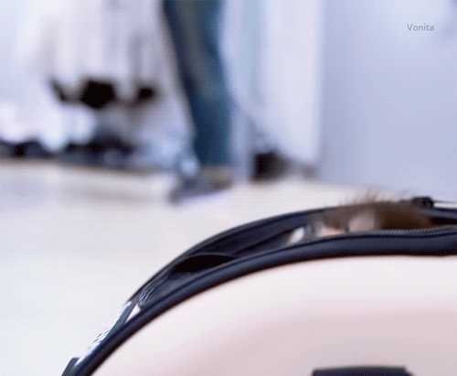 울 연탄이🐶💜 | 인스티즈