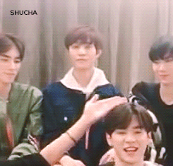 아아아아악 뭐야 독밭 언제생겨쎠 | 인스티즈