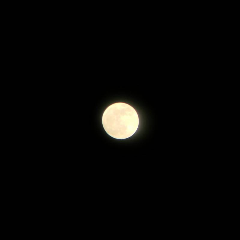 오늘 슈퍼문이더라ㅋㅋ 그래서 아까 밖에 나가서 찍은 달 사진!! | 인스티즈