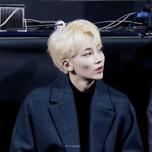 세븐틴 95년생 맏형들 🍒🐿🦌 | 인스티즈