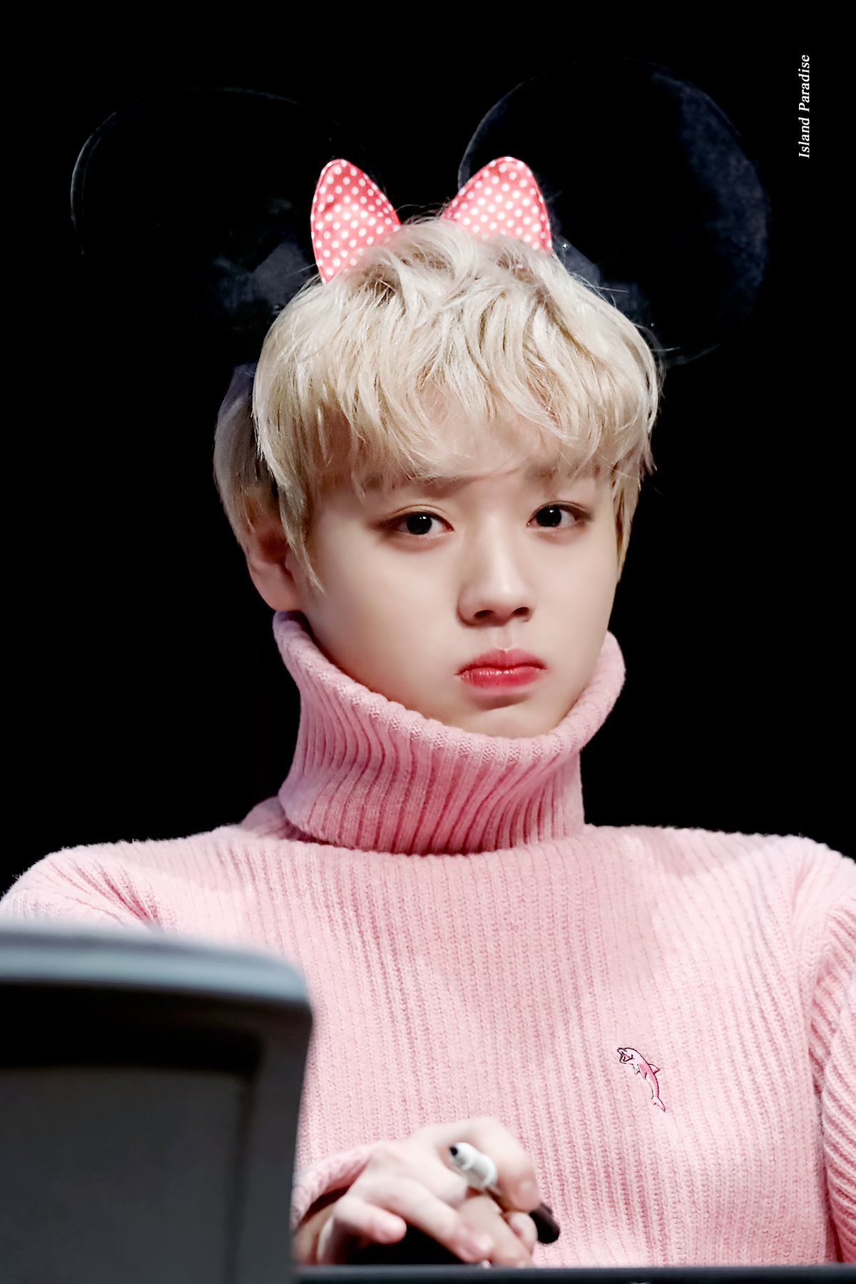 나는 박지훈 분홍니트 처돌이 | 인스티즈