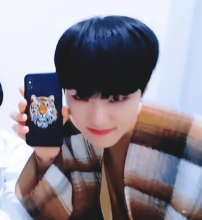 주입식호랑이상 | 인스티즈