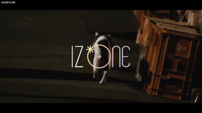 ㅇㅇㅈㅇ 일본 뮤비 완전 에케비+노기자카 같음.. | 인스티즈