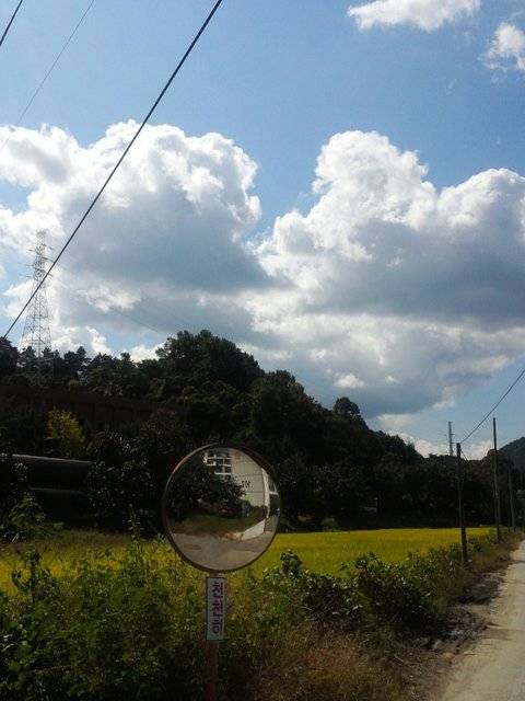 인터넷에다 사진 남기는 거 좋은 거 같애🌾🌳 | 인스티즈