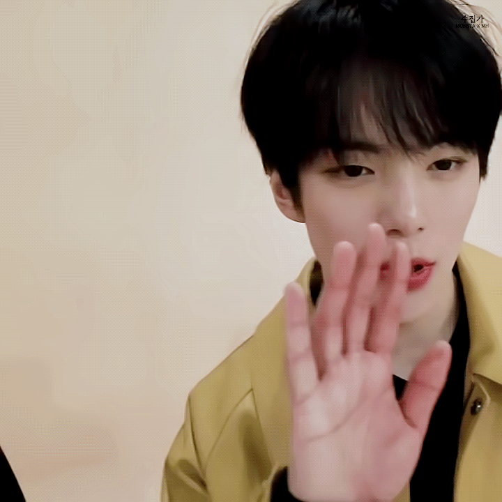 ㄱ 새벽이라 심심한데 타팬분들 제 최애 왼/른 정해주고 주무실래여? | 인스티즈