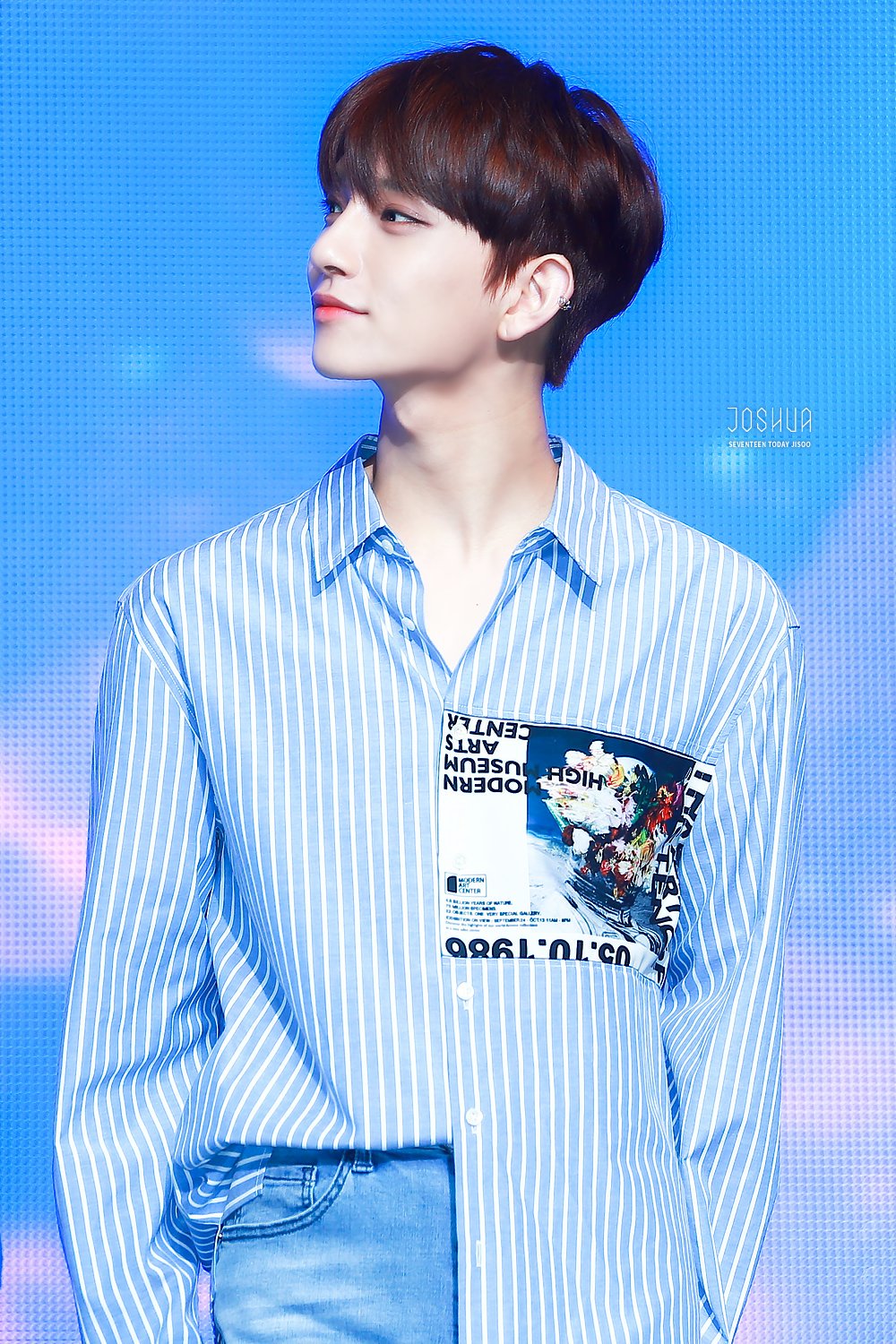 내 기준 내가 본 남돌 중에 젤 고급진 왕자님 이미지임 ㅈㅇ 세븐틴 조슈아 | 인스티즈