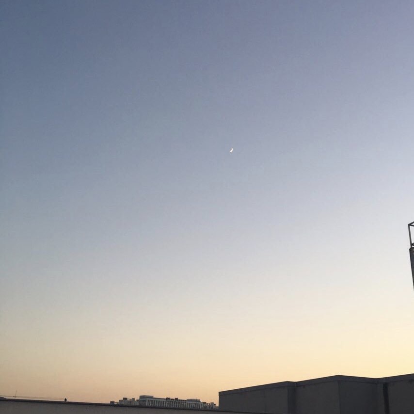 하성운팬들이 공식색에 과몰입하게 되는 이유 이게 제일 큰 듯.. | 인스티즈