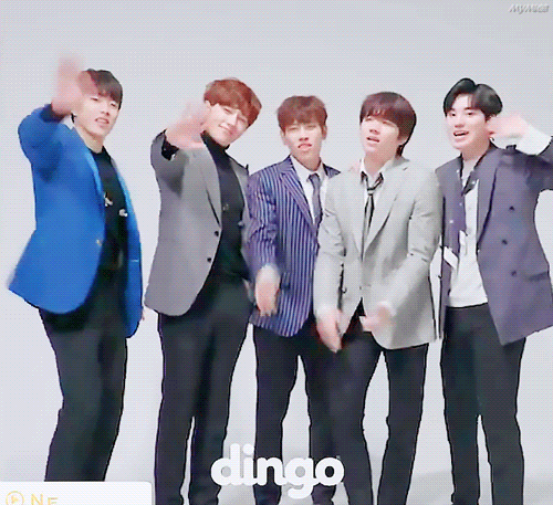 15일(금), 💛인피니트 딩고 공개💛 | 인스티즈