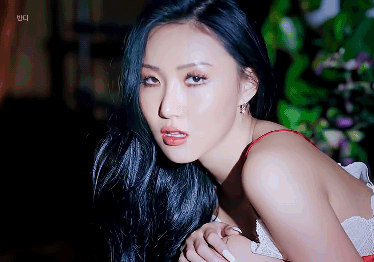 화사 - 멍청이 (twit) cover | 인스티즈