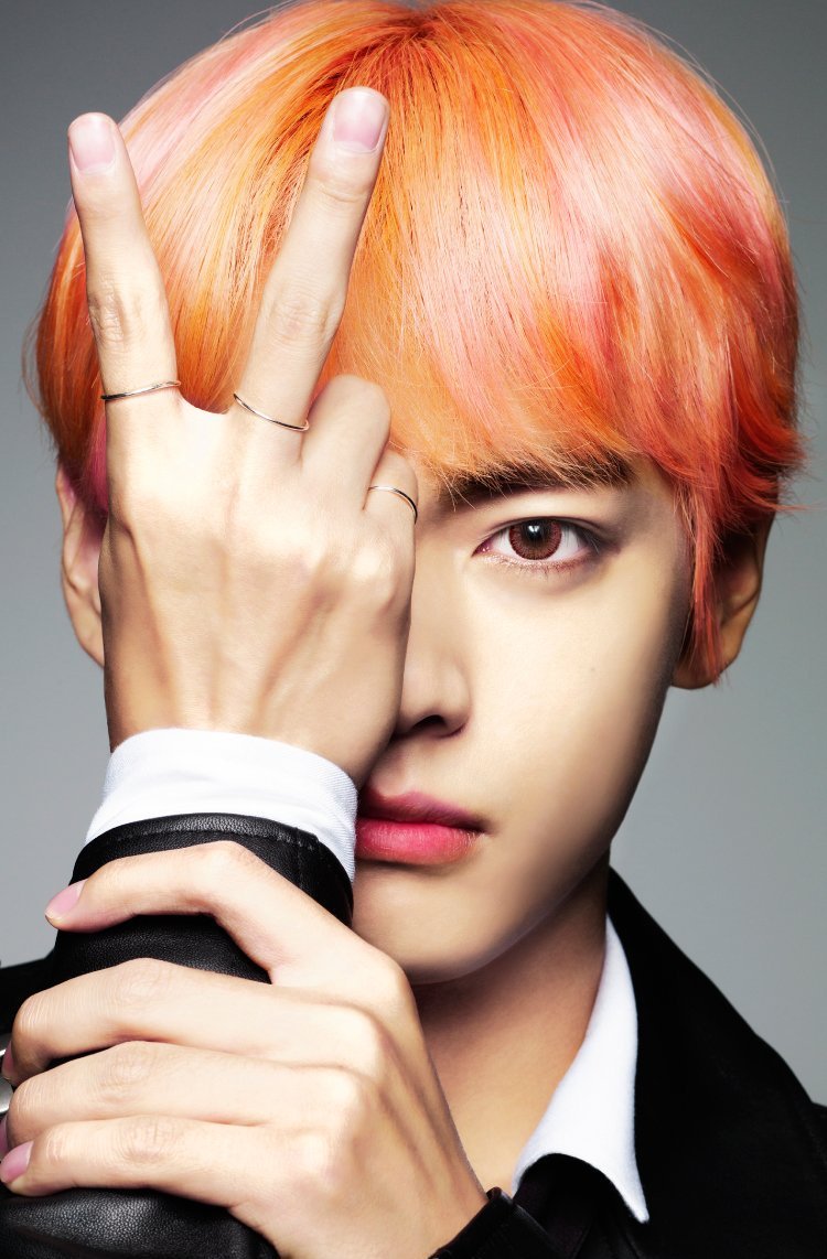 내 투본이 방탄이랑 럽리인데 이 짤들 보여주면 타팬들 ㄹㅇ 경악한다 | 인스티즈