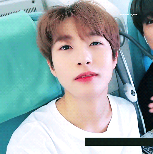 다음 글은 인주니 짤털을 위해 작성되었음을 알려드립니다💚 | 인스티즈