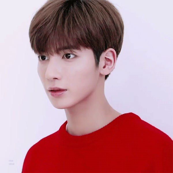 난 얘 속쌍인 것만큼 놀라운 게 없는 듯 | 인스티즈